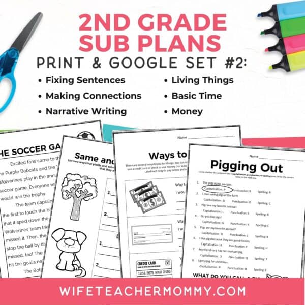 2nd Grade Ready To Go Sub Plans Print + Google Set #2 - Image 3