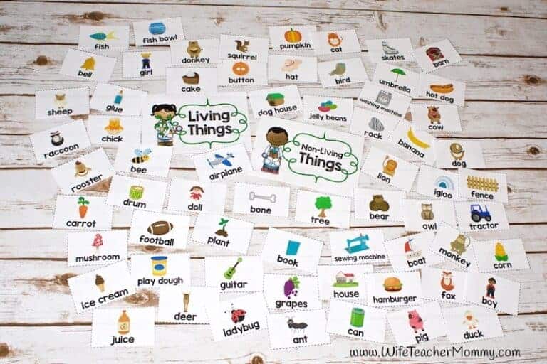 Living and Non Living Things Sort Activity Educate & Rejuvenate