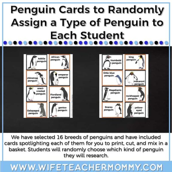 Lower and Upper Grades Penguins Research Unit (Digital Version) - Image 2