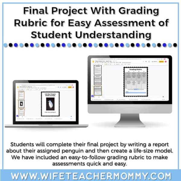 Lower and Upper Grades Penguins Research Unit (Digital Version) - Image 3