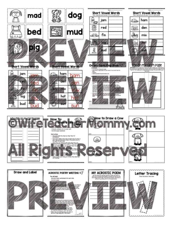 Pre-K Distance Learning Packet: At Home Learning Activities Week #7 - Image 5