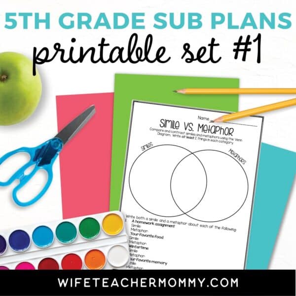 substitute plans for 5th grade
