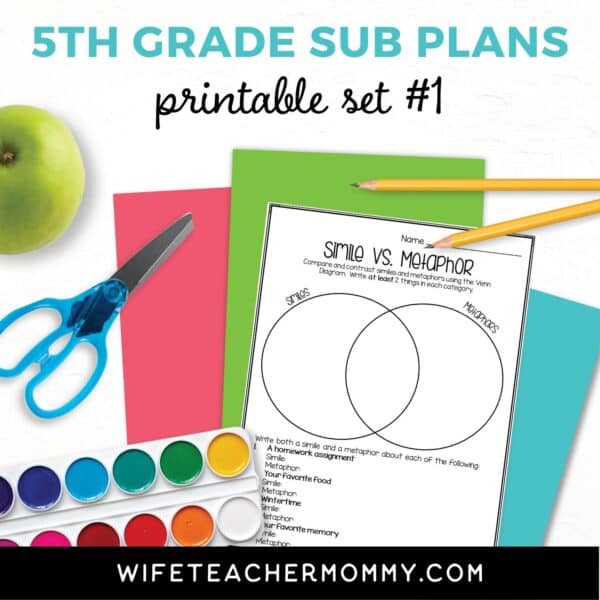 substitute plans for 5th grade