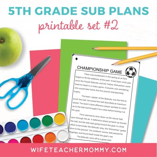 substitute plans for fifth grade