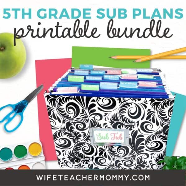 5th grade emergency sub plans PDF