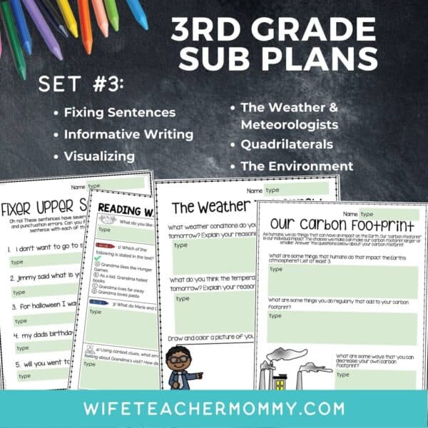 3rd Grade Ready To Go Sub Plans Digital Google Slides Set #3 - Image 3