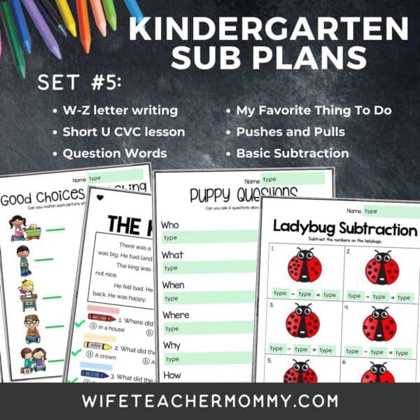 Kindergarten Ready To Go Sub Plans Digital Google Slides Set #5 - Image 3