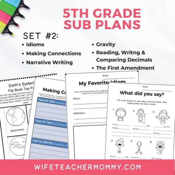 5th Grade Ready To Go Sub Plans Printable Set #2 - Image 3