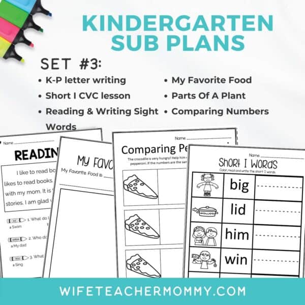 Kindergarten Ready To Go Sub Plans Digital Google Slides Set #3 - Image 3