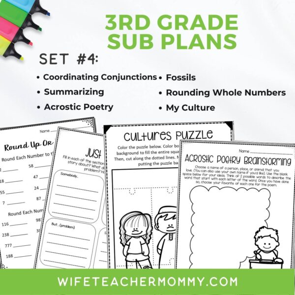 3rd Grade Ready To Go Sub Plans Printable Set #4 - Image 3