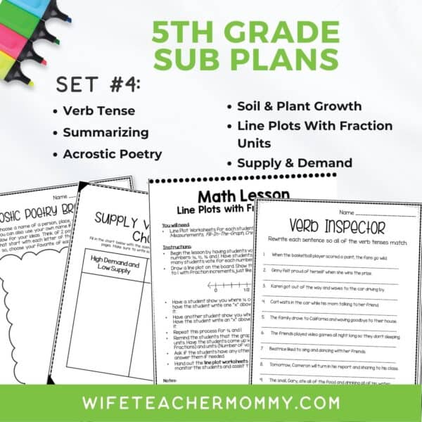 5th Grade Ready To Go Sub Plans Printable Set #4 - Image 3