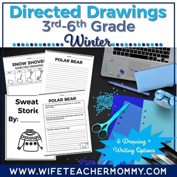 Winter Upper Grades Directed Drawings Pack