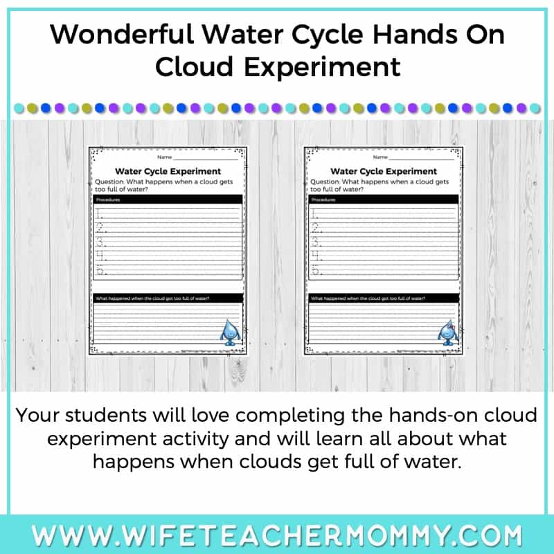 Lower Grades Water Cycle Thematic Unit (Print Version) - Image 3