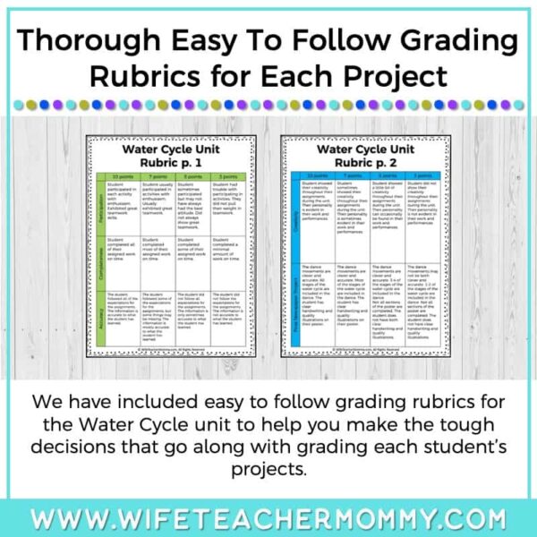 Lower Grades Weather and Water Cycle Thematic Unit Bundle (Print Version) - Image 14