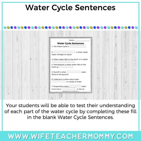 Lower Grades Weather and Water Cycle Thematic Unit Bundle (Print Version) - Image 15