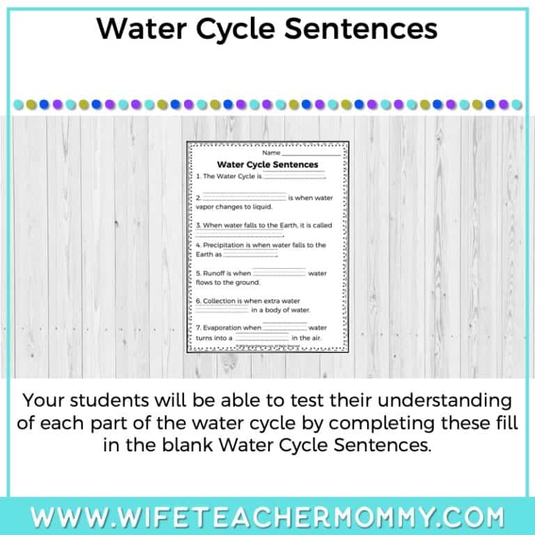 Lower Grades Water Cycle Thematic Unit (Print Version) Educate & Rejuvenate