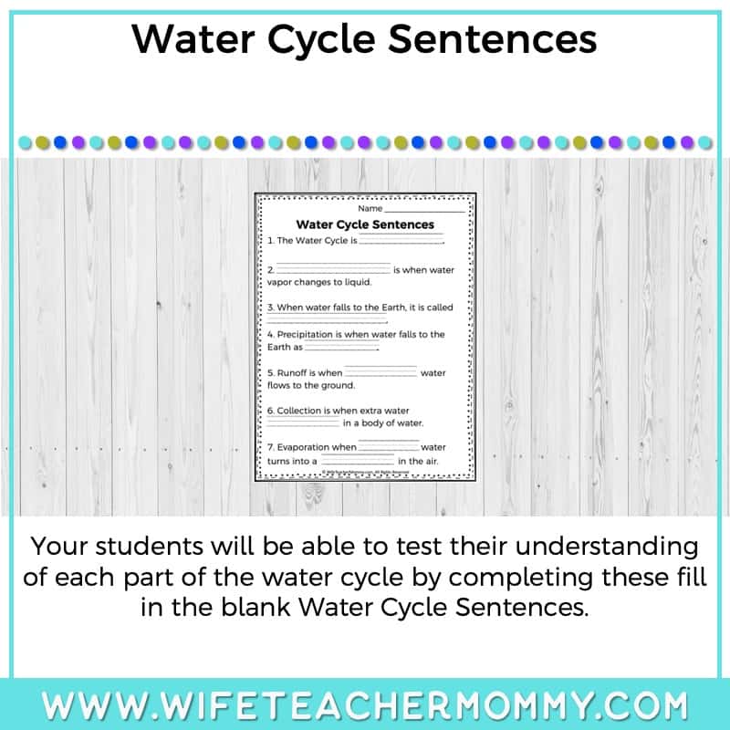 Lower Grades Water Cycle Thematic Unit (Print Version) - Image 5