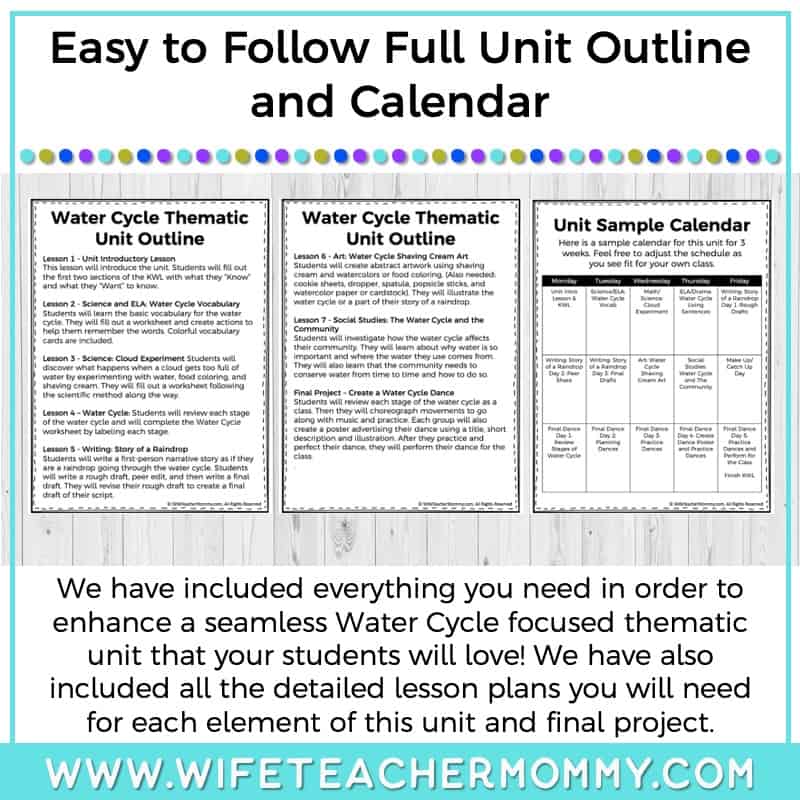 Lower Grades Water Cycle Thematic Unit (Print Version) - Image 7