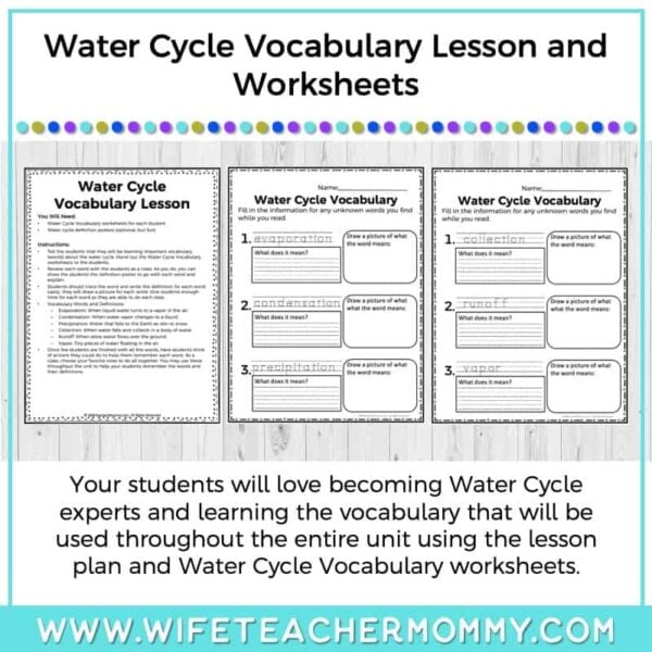 Lower Grades Weather and Water Cycle Thematic Unit Bundle (Print Version) - Image 18