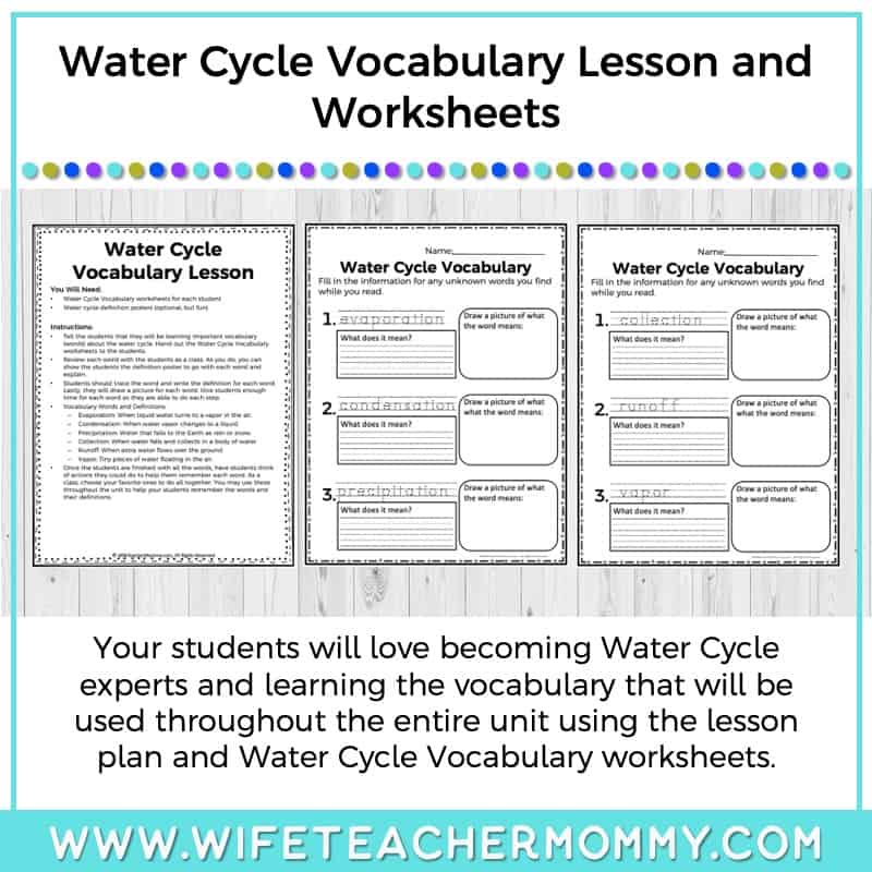 Lower Grades Water Cycle Thematic Unit (Print Version) - Image 8