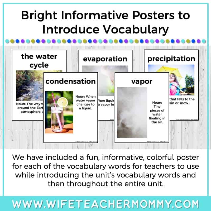 Lower Grades Water Cycle Thematic Unit (Print Version) - Image 9