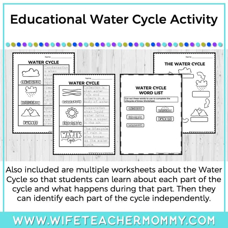 Lower Grades Water Cycle Thematic Unit (Print Version) - Image 10