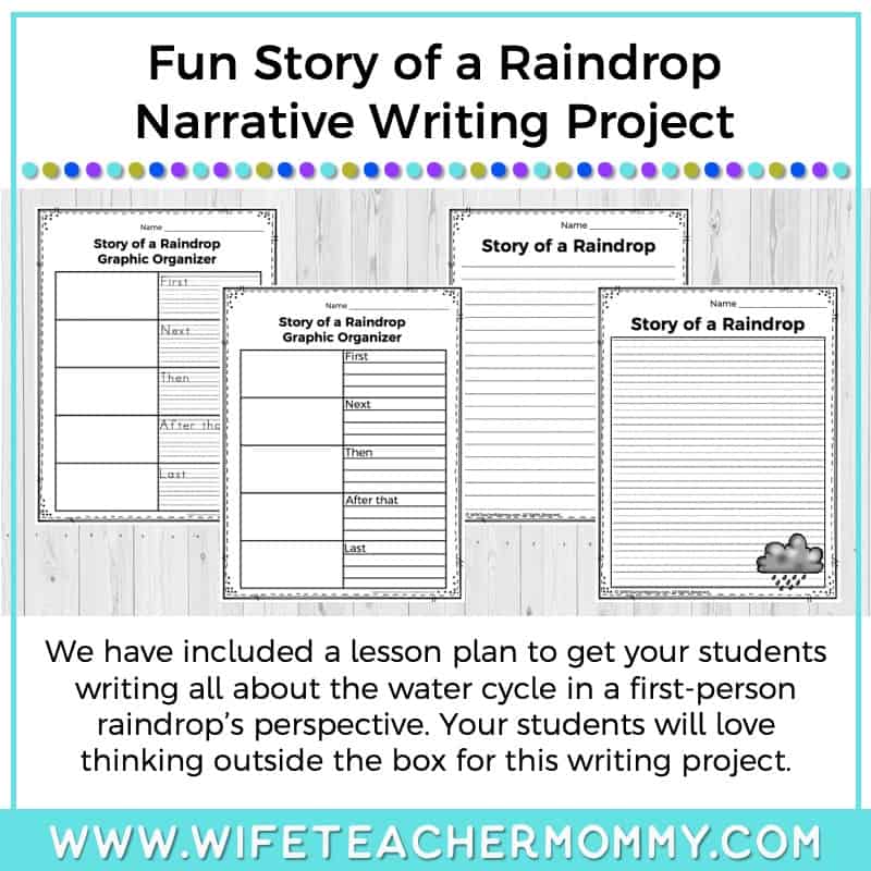 Lower Grades Water Cycle Thematic Unit (Print Version) - Image 12
