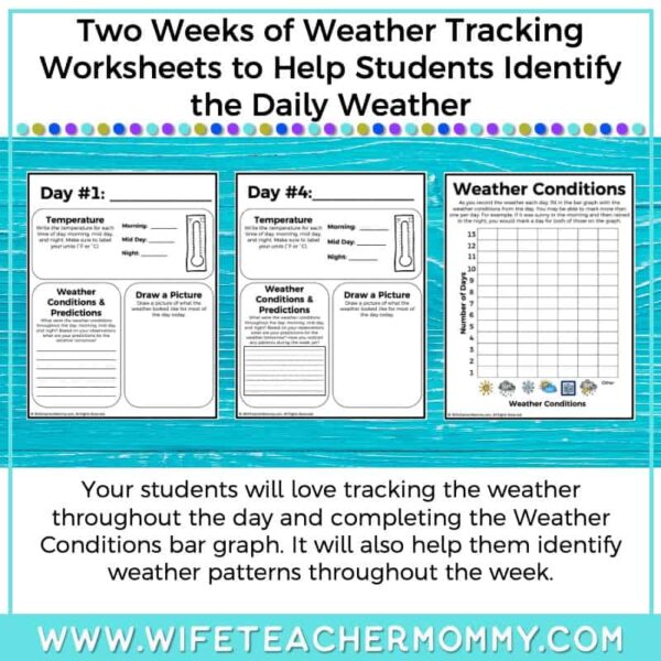Lower Grades Weather and Water Cycle Thematic Unit Bundle (Print Version) - Image 7