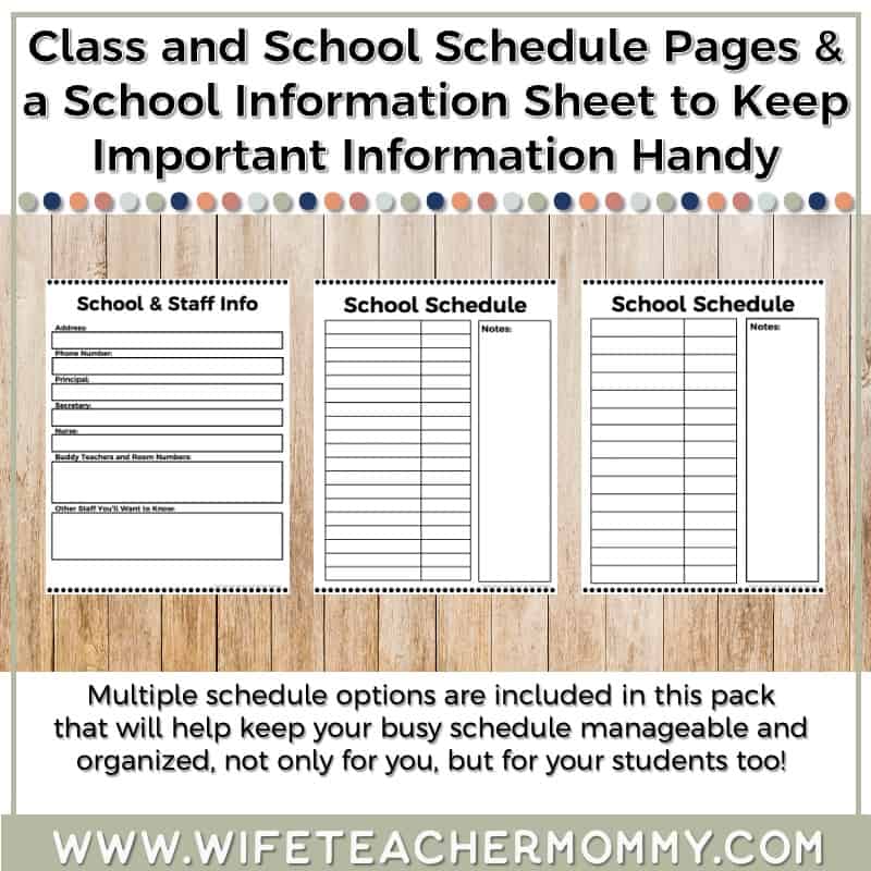 The Ultimate Boho Rainbow Mega Bundle - Teacher Planner, Sub Binder, Decor (Digital and Print) - Image 45