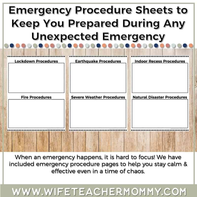 The Ultimate Boho Rainbow Mega Bundle - Teacher Planner, Sub Binder, Decor (Digital and Print) - Image 39