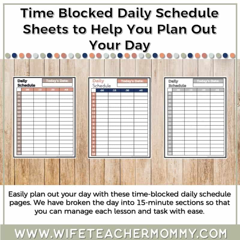 The Ultimate Boho Rainbow Mega Bundle - Teacher Planner, Sub Binder, Decor (Digital and Print) - Image 38