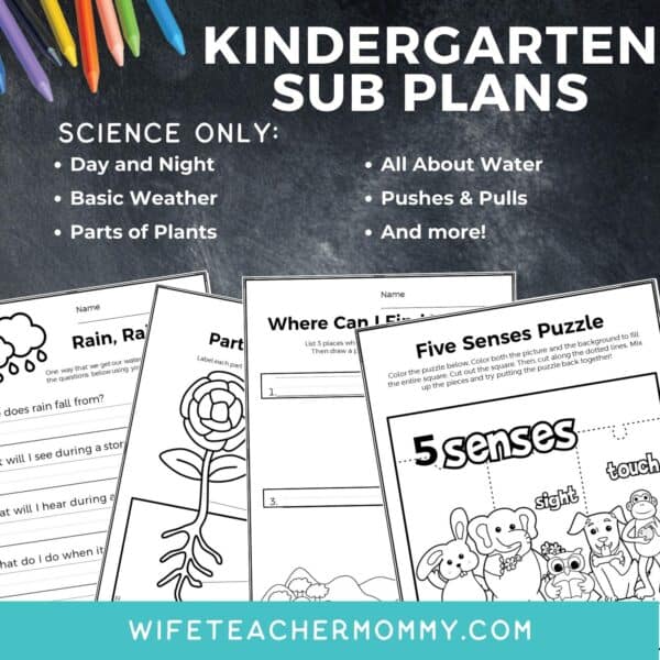 Kindergarten Departmentalized Sub Plans- Science - Image 3