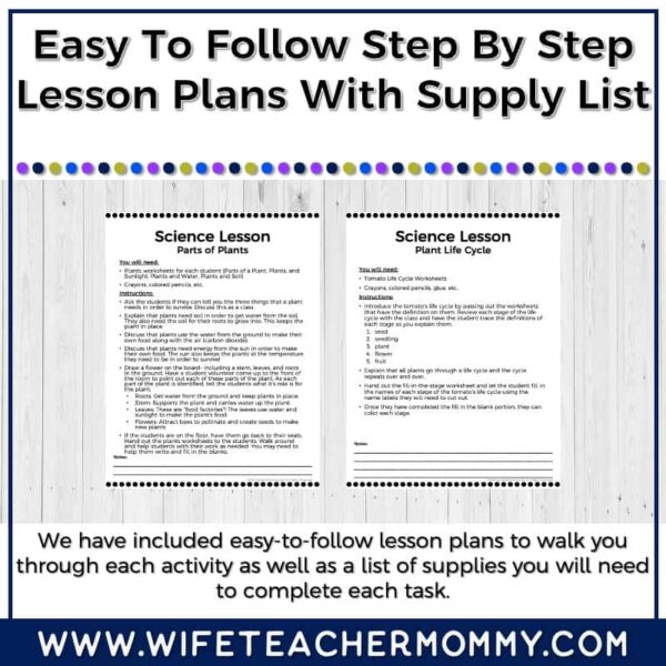 Lower Grades Plant & Botany Print & Digital Units (Worksheets, Lesson Plans, etc.) - Image 7
