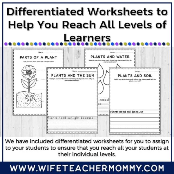 Lower Grades Plant & Botany Print & Digital Units (Worksheets, Lesson Plans, etc.) - Image 8