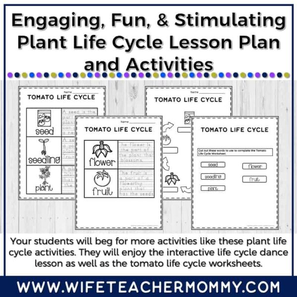 Lower Grades Plant & Botany Print & Digital Units (Worksheets, Lesson Plans, etc.) - Image 9