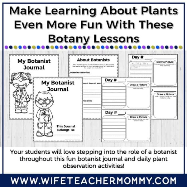 Lower Grades Plant & Botany Print & Digital Units (Worksheets, Lesson Plans, etc.) - Image 10