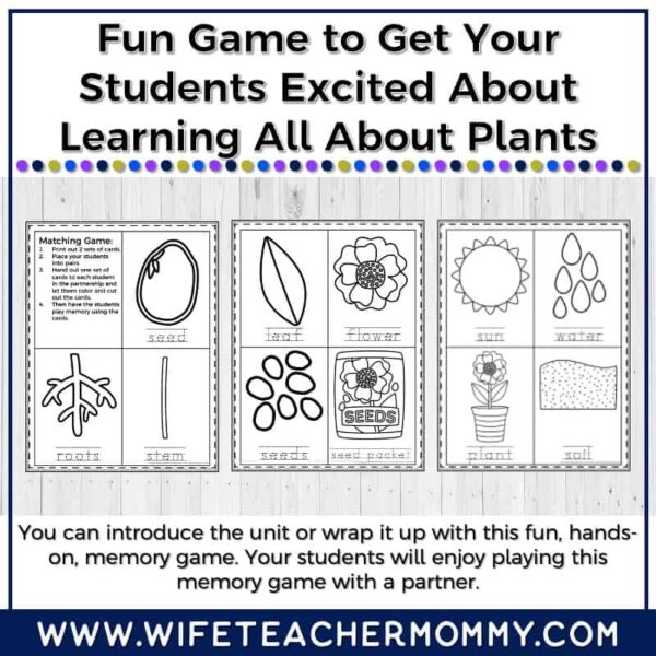 Lower Grades Plant & Botany Print & Digital Units (Worksheets, Lesson Plans, etc.) - Image 11