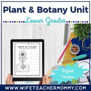 Lower Grades Plant & Botany Digital Unit (Worksheets, Lesson Plans, etc.)