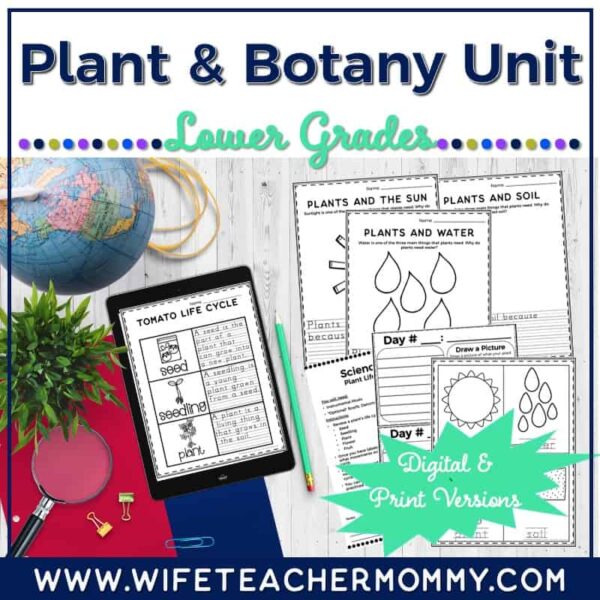 plant worksheets- botany & plant lesson plans for lower elementary