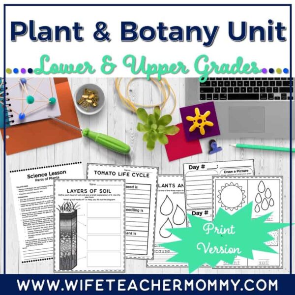 Lower & Upper Grades Plant & Botany Print Unit (Worksheets, Lesson Plans, etc.)
