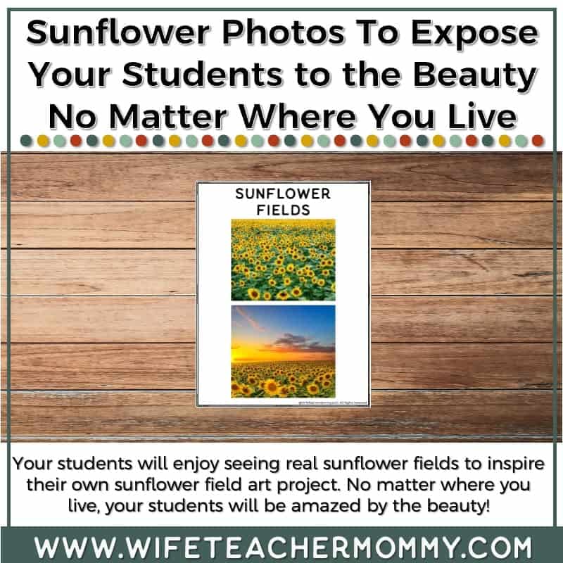 September Monthly Art Activity Sunflower Field Art Project for Upper Grades - Image 3
