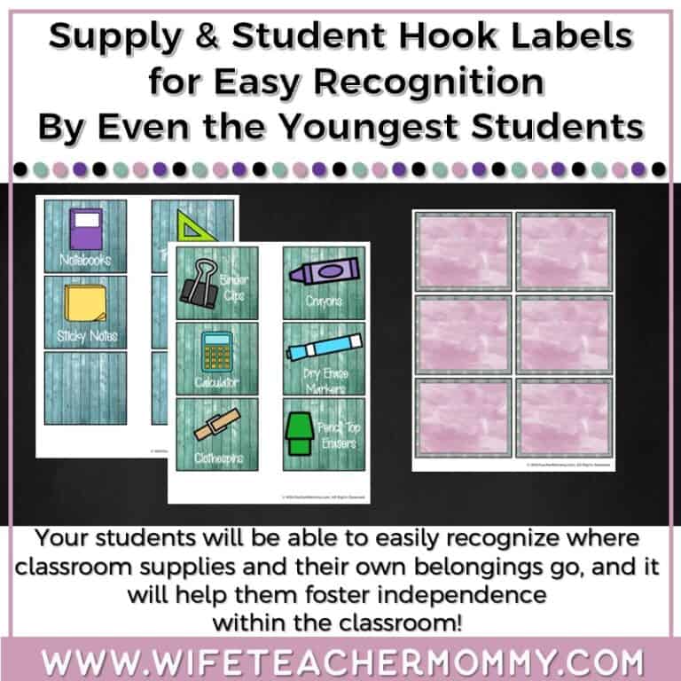 Succulent Classroom Decor Pack Educate & Rejuvenate