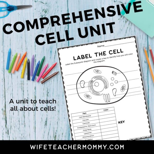 label the cell worksheet- comprehensive cell unit