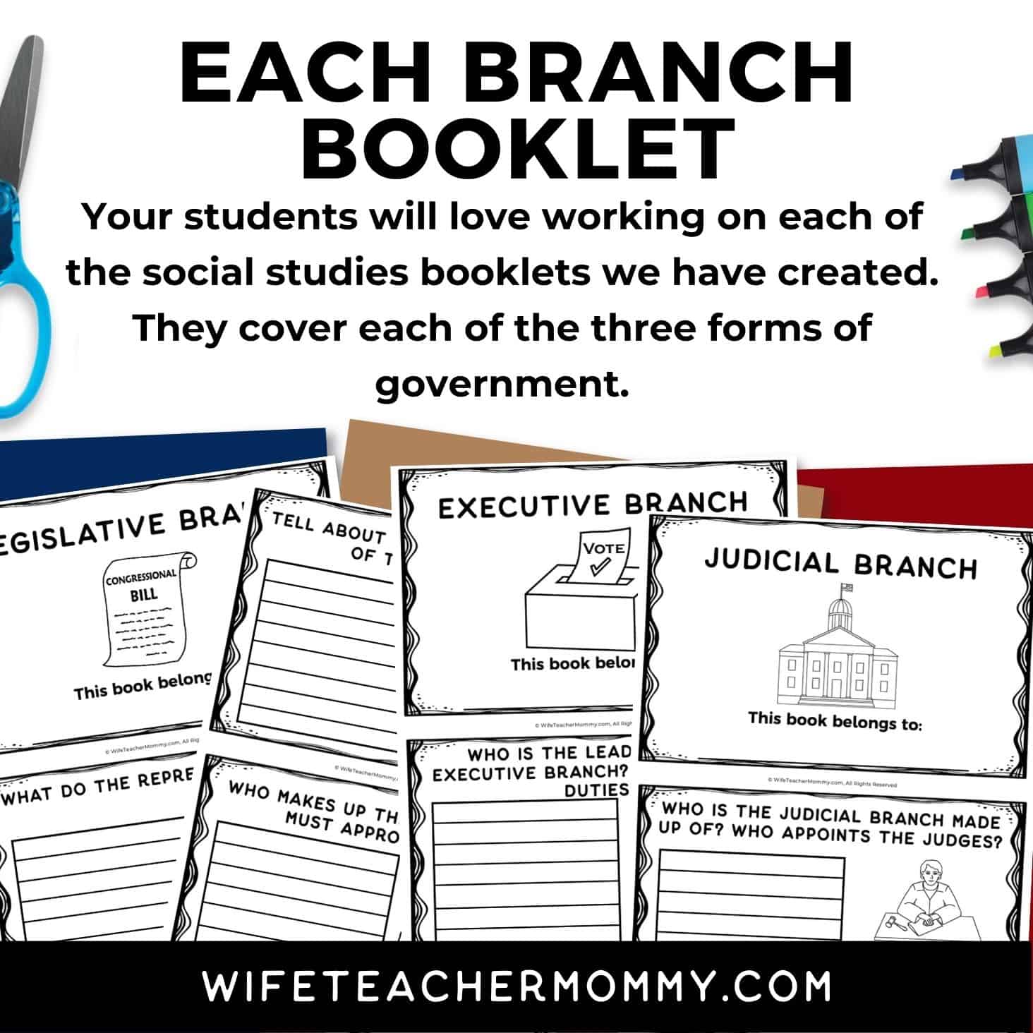 3 Branches of Government & Federalism Lesson Plans